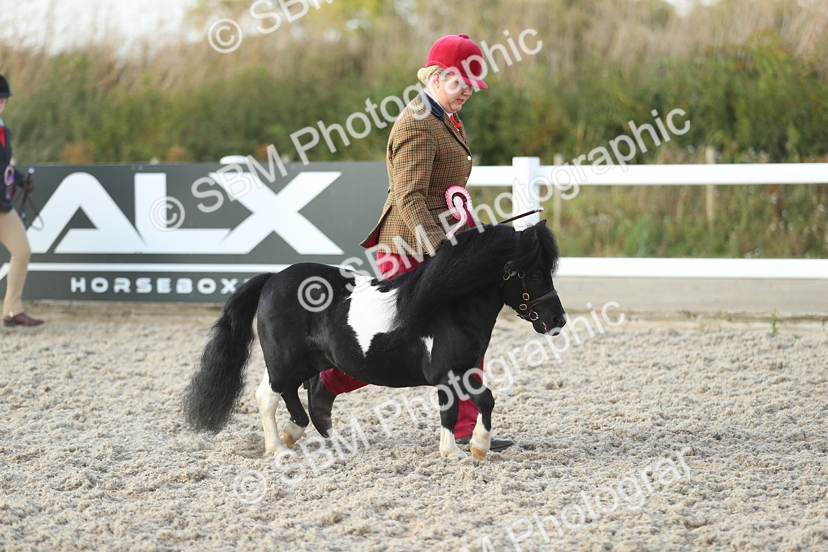 SBM_09126 - Class 29 IH Veteran Pony