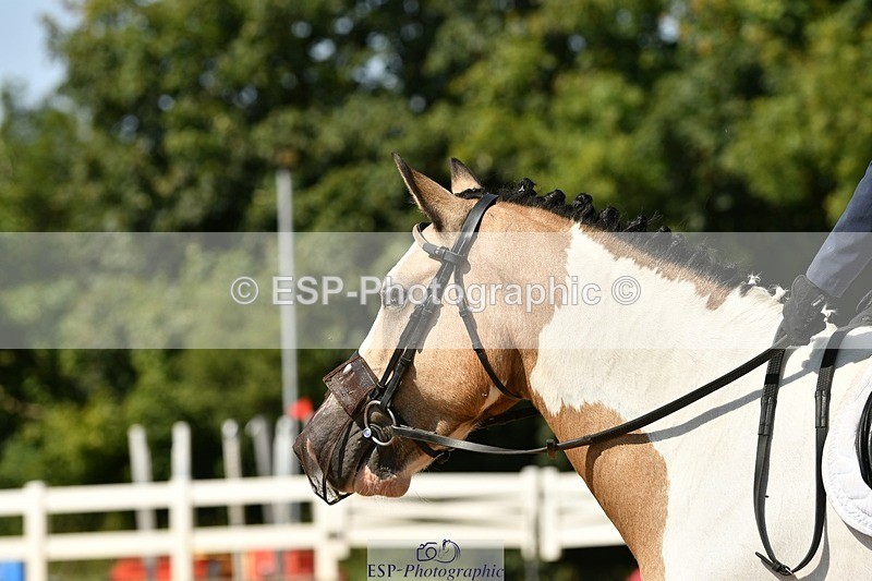 250817-144427-10253 - 172-Lilly.PapworthCammach.Wheres.Whally