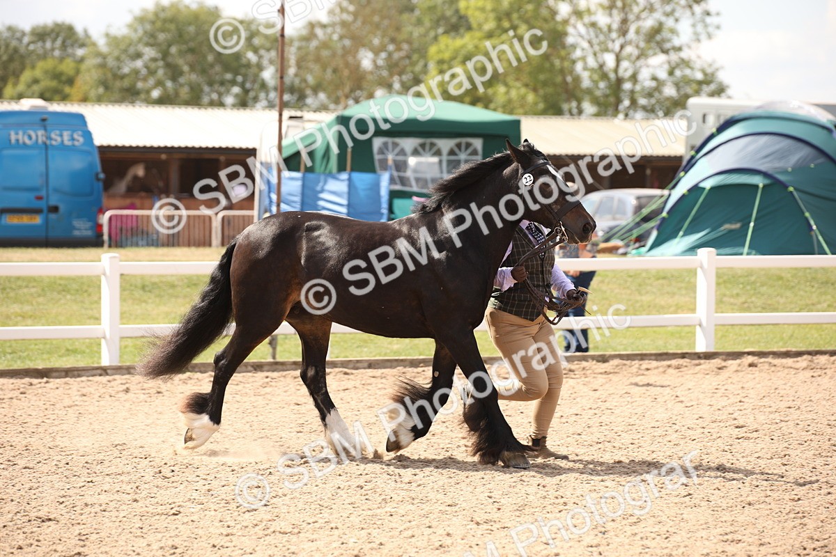 SBM_04549 - Class 20 IH Veteran