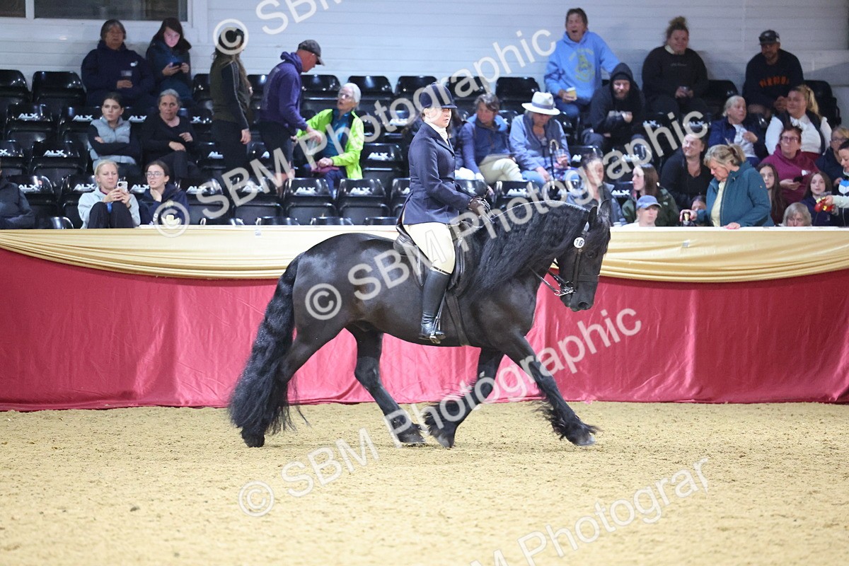 SBM_19273 - Class K Equitation Champ