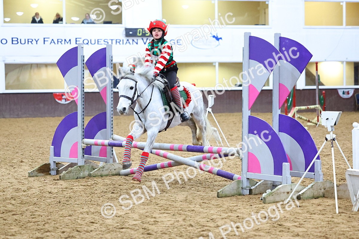 SBM_001342 - Class 3 - Christmas Tree Stakes - 60cm