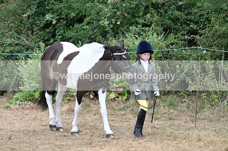 WJ7_9441 - Class 5 Most Handsome Gelding (up to 14.2hh)