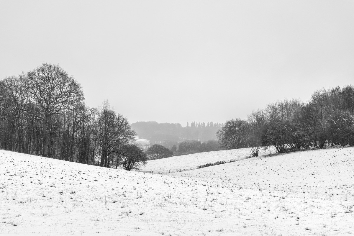 Farringdon snow - WINTER