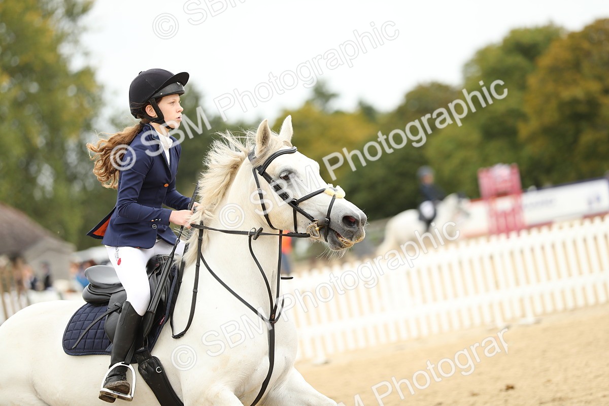 SBM_59451 - J25 - Junior Horse 80cm Championship