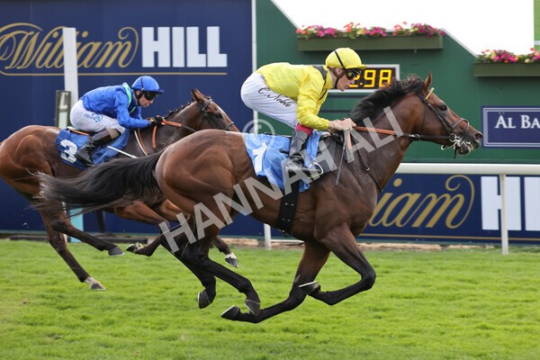 yr08072022r4-22 - Race 4 3.50pm William Hill Pick Your Places Stakes