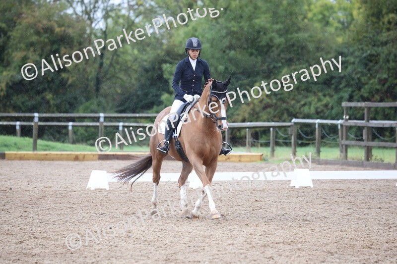 20261021-0625 - Class 5 - Novice 1