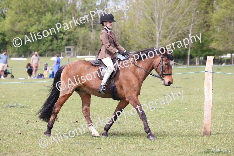 20260426-2939 - Class 33 - Best Pony 14.2hh and Under