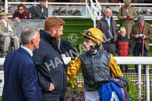 121024-Race 1-Jungle Drums-2648 - Race 1 1.30pm Coral Rockingham Stakes