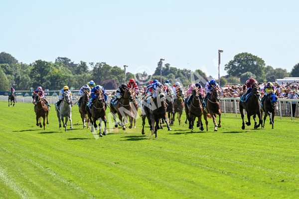 120725-Race 3-Fox Legacy-0206 - Race 3 3.10pm John Smith's Cup Handicap