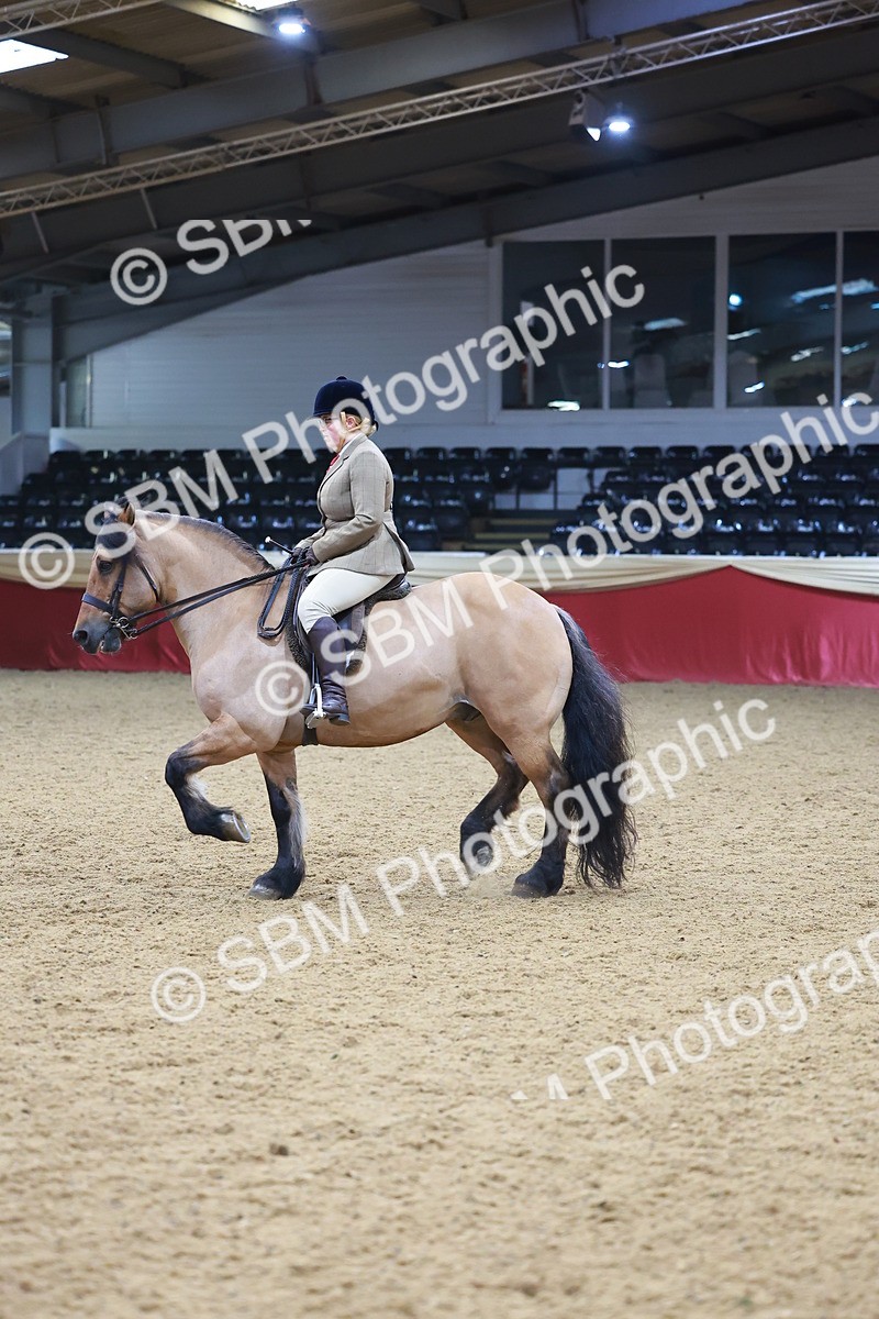 SBM_05375