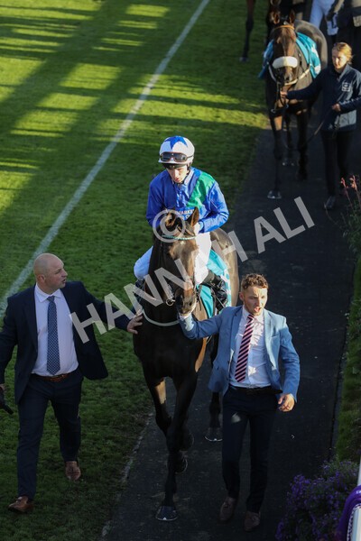 yr08102022r7-13 - Race 7 5.00pm The Coral Gets You Closer To The Action Stakes