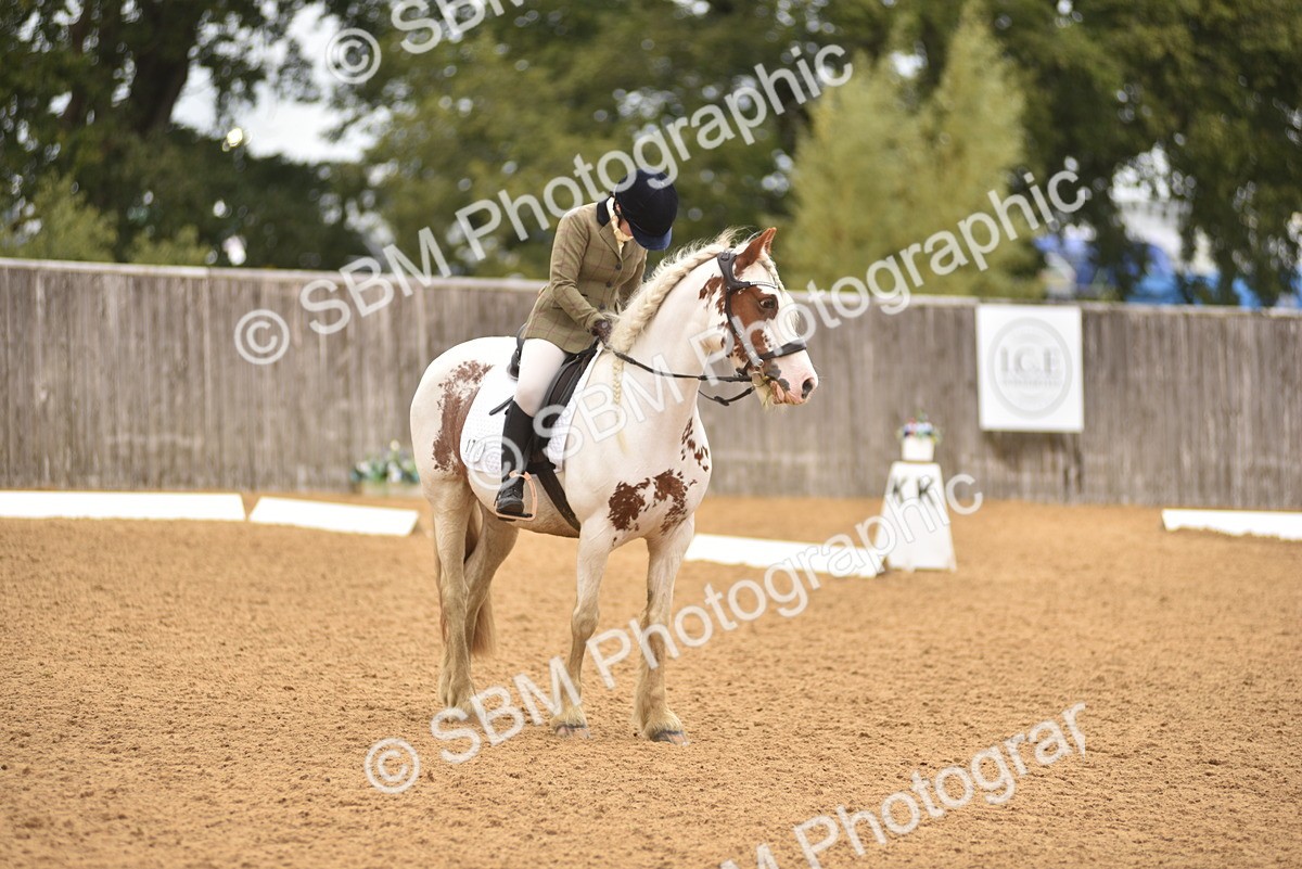 SBM_42348 - D22 - Junior Championship Intro 3