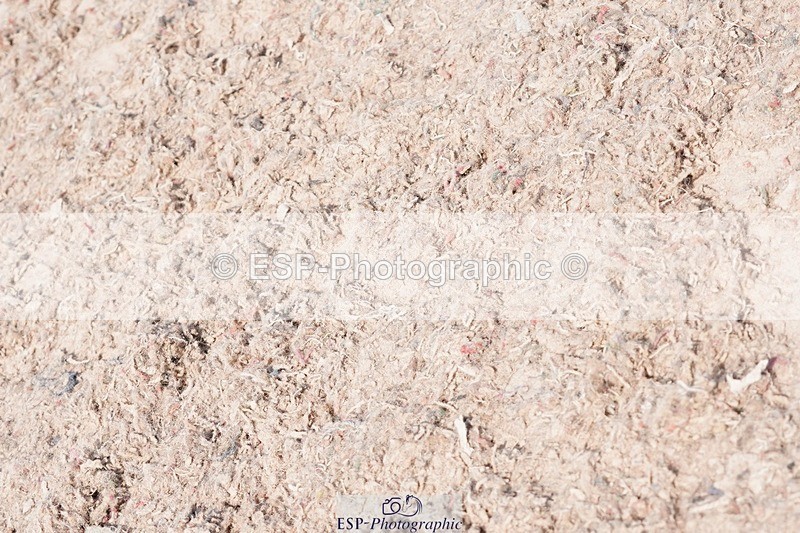 250503-101548-00155 - Cls 17+18 Club and Schools 60cm