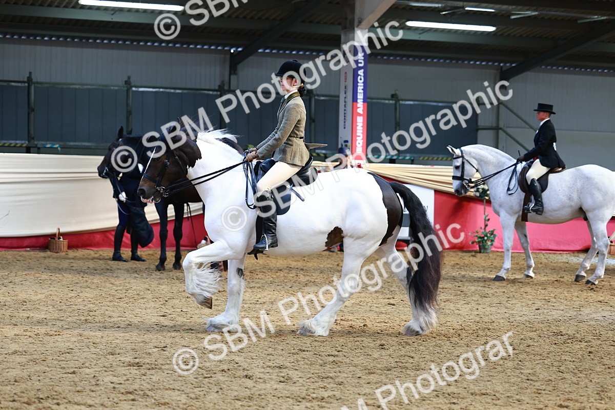 SBM_23496 - class 906 - Supreme Final - Ridden Pre Vet