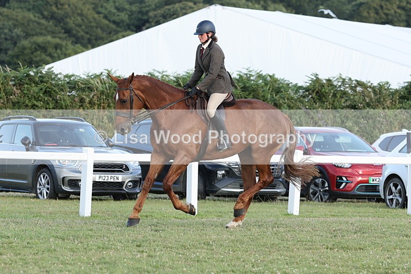 JPP_3720 - Class 24: Open Working Hunter