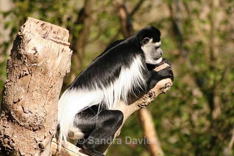  - Wildlife & People