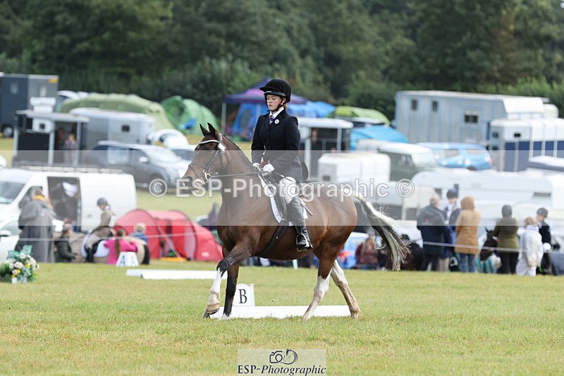 240824X-110632-26846 - D70 Section C and D 9.30 to 11.00