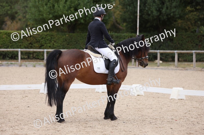 20250820-1106 - Class 17 - Elementary 4