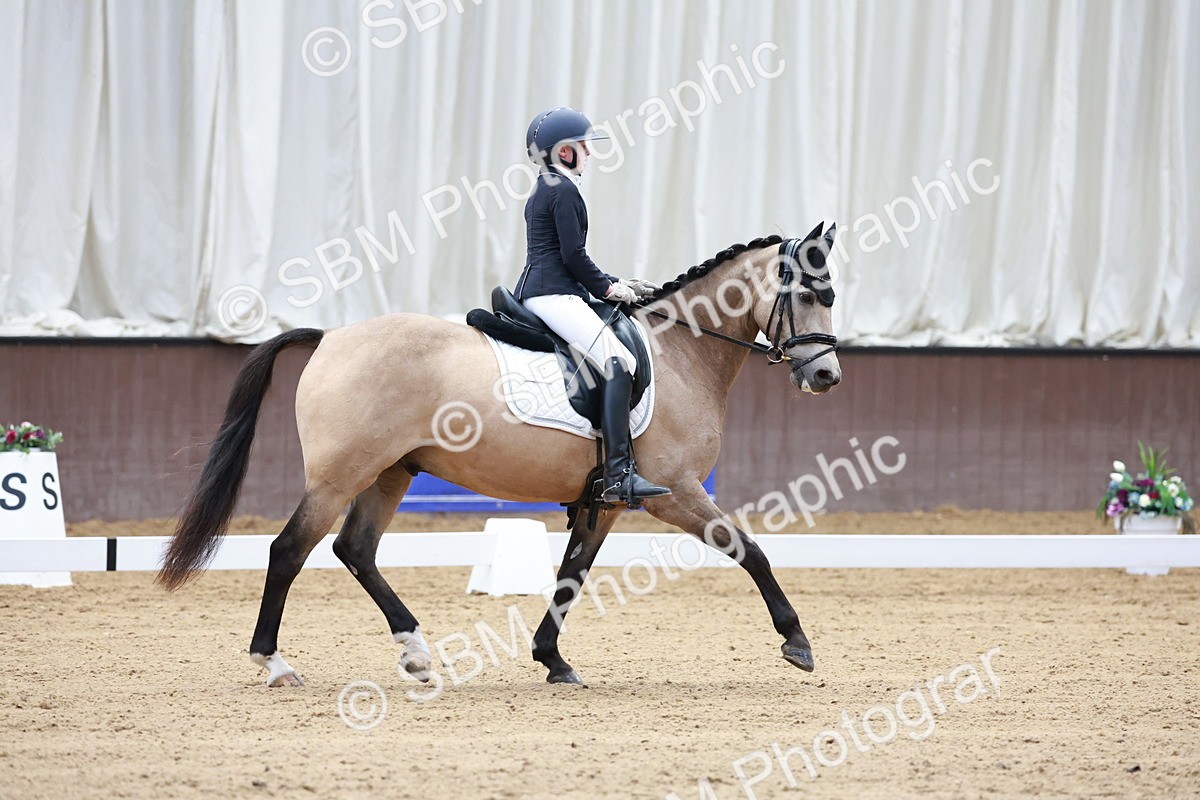 SBM_017216 - Class15 - FEI Pony
