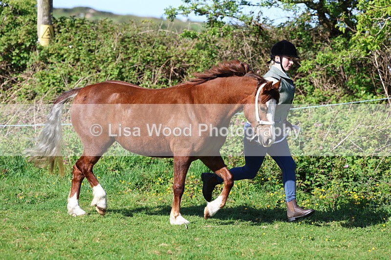 3E7A8550 - Class 13: M & M Large Breeds