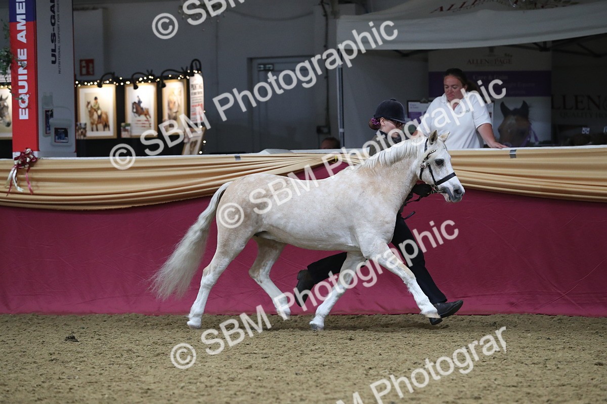 SBM_17181 - M&M Supreme Final Champ