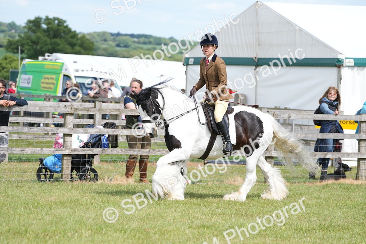 SBM_17172 - Class 107-108 - LIHS BSPS Performance Coloured Horse Pony