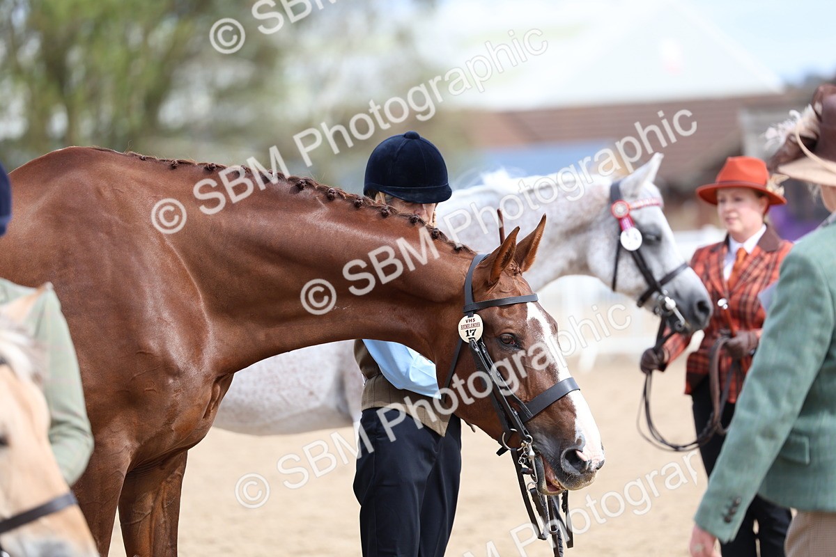 SBM_03980 - Class 25 - IH Foreign Breeds - Pure Bred