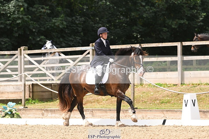 250720A-115947-10110 - 079-Amanda.Williams-Llanarth.Westminster