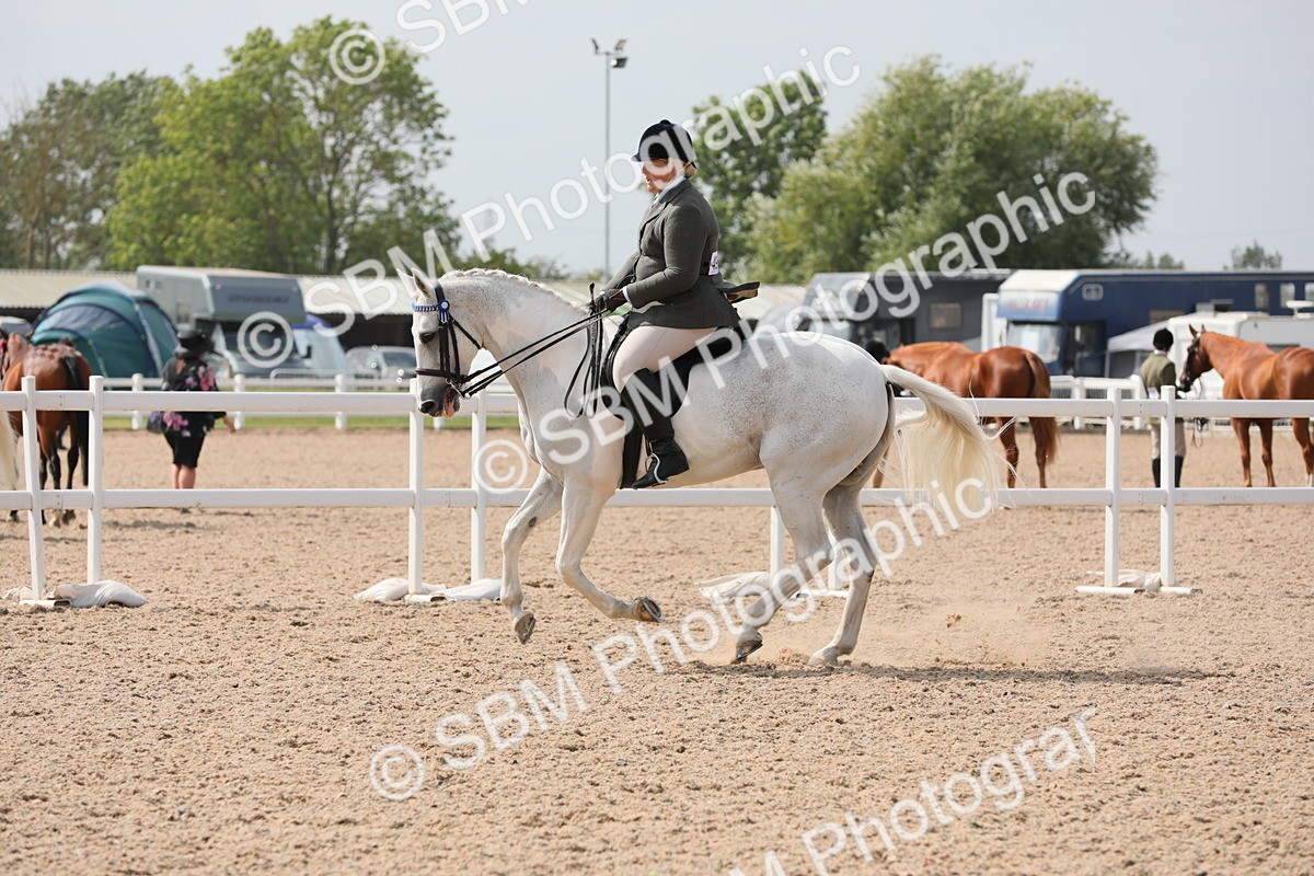 SBM_13384 - Class 308 Ridden Coloured Horse