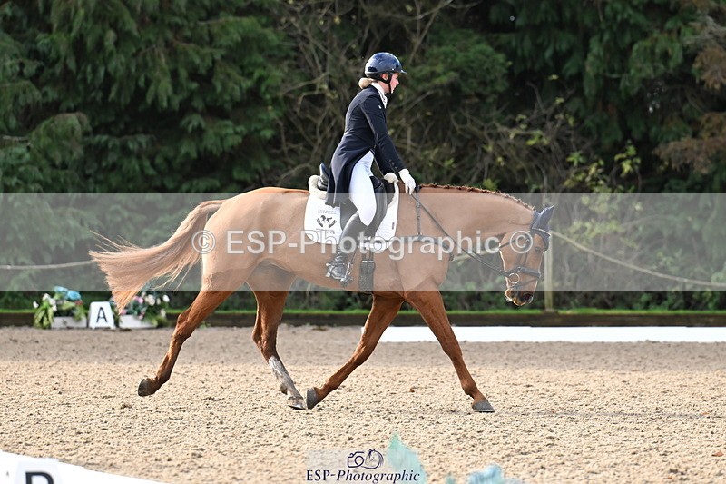 251023A-101856-01492 - B-128-Holly.Law