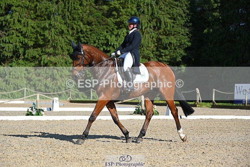 230526-173500-07652 - 264-BALLADEER_JUST_FOR_KICKS-Ellie_Healy-WEDTrotUp+DR