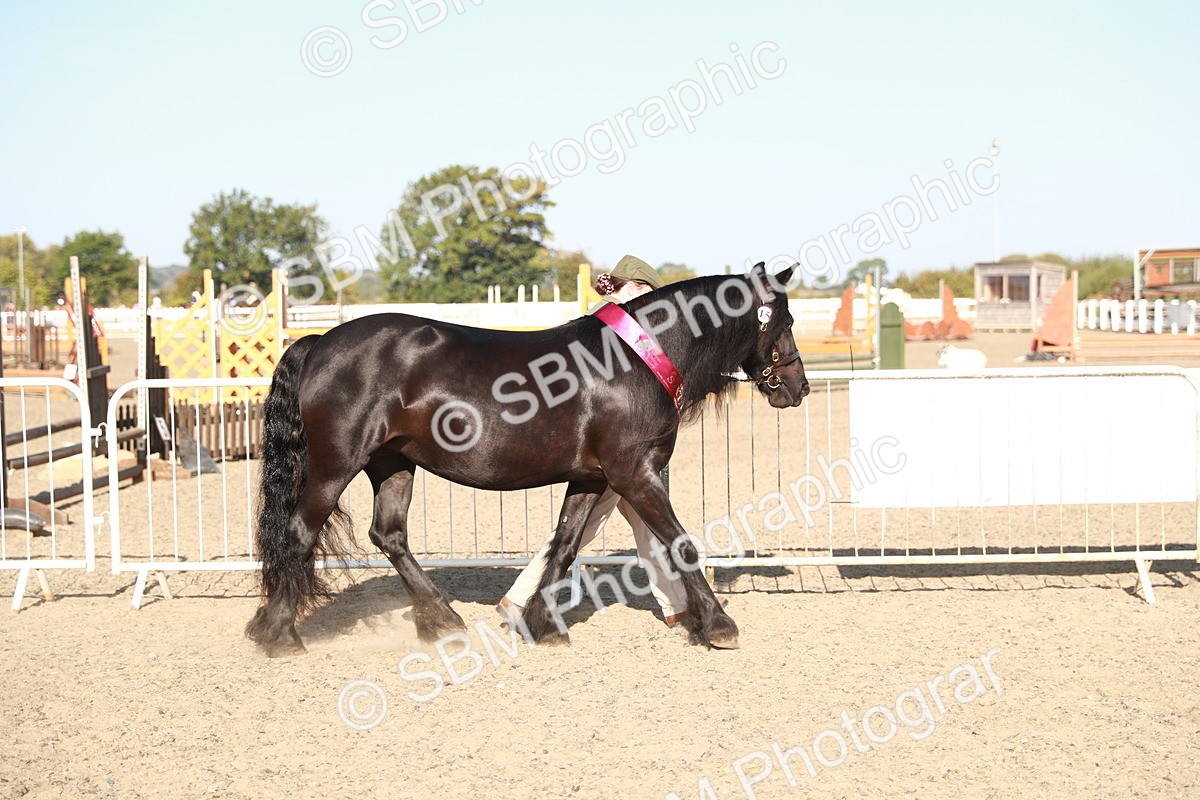 SBM_00185 - Class 40 Best Turned Out IH