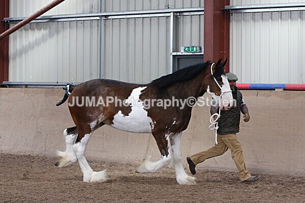 SIAL0207 - Indoor Classes