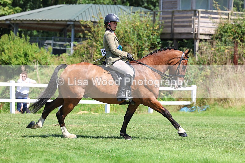 3E7A9159 - Working Hunter Championship