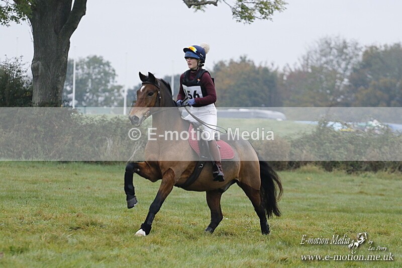 WWHT 181020 WWHT 181020 013 - WWEC Novice Restricted (0.80m) 18/10/20