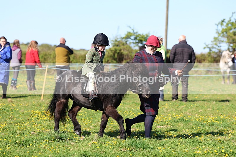 3E7A8777 - Class 2: Lead rein