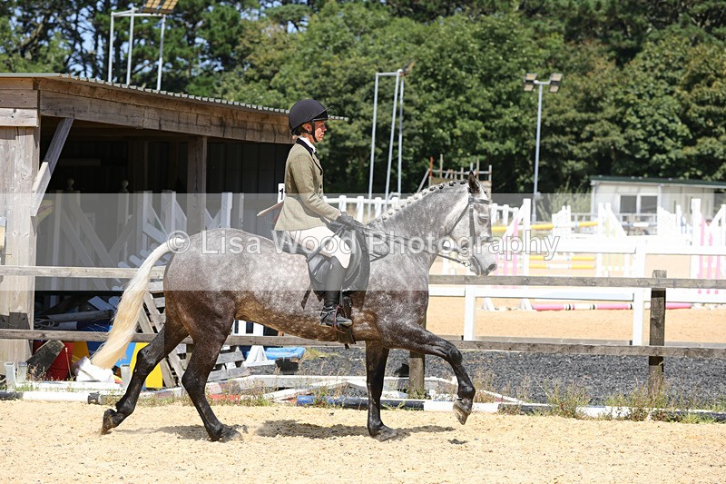 1X9A8814 - Class 19: Riding Club Horse