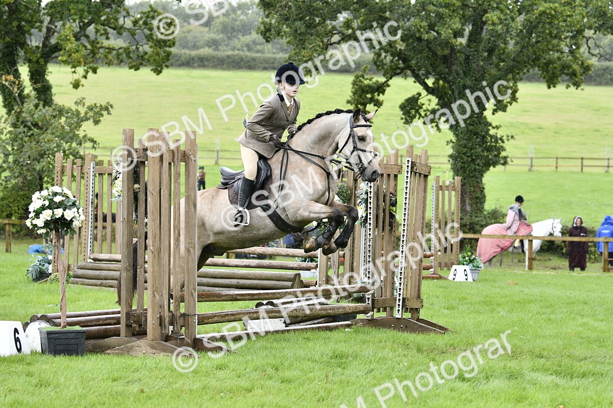 SBM_41438 - S32 - Mountain & Moorland Working Hunter Pony
