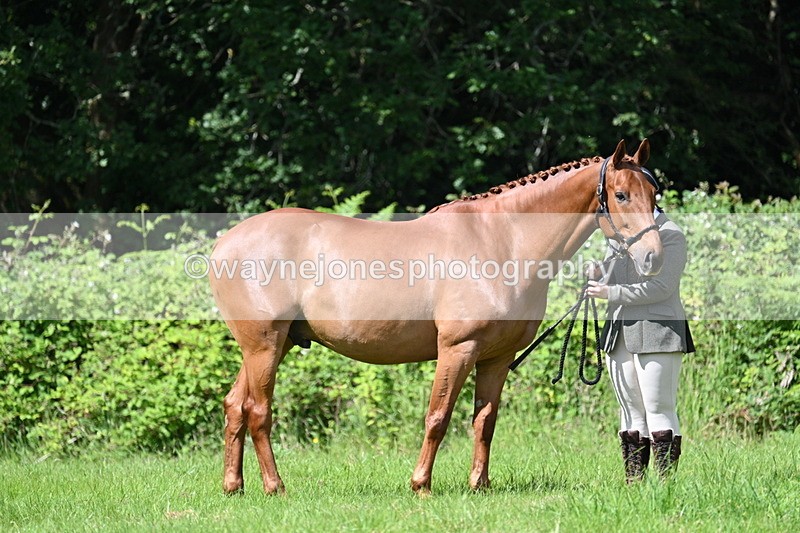 WJ7_1232 - Class 11 Condition & Turnout