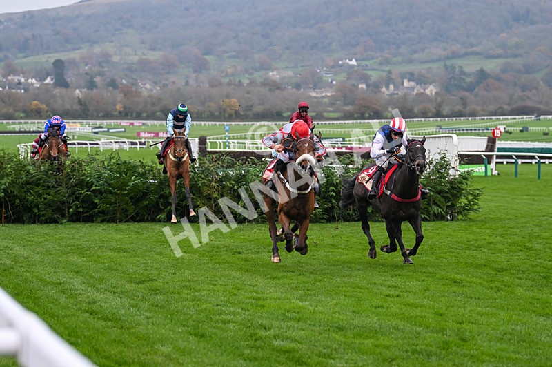 151124-Race 4-Sweet David-8220 - Race 4