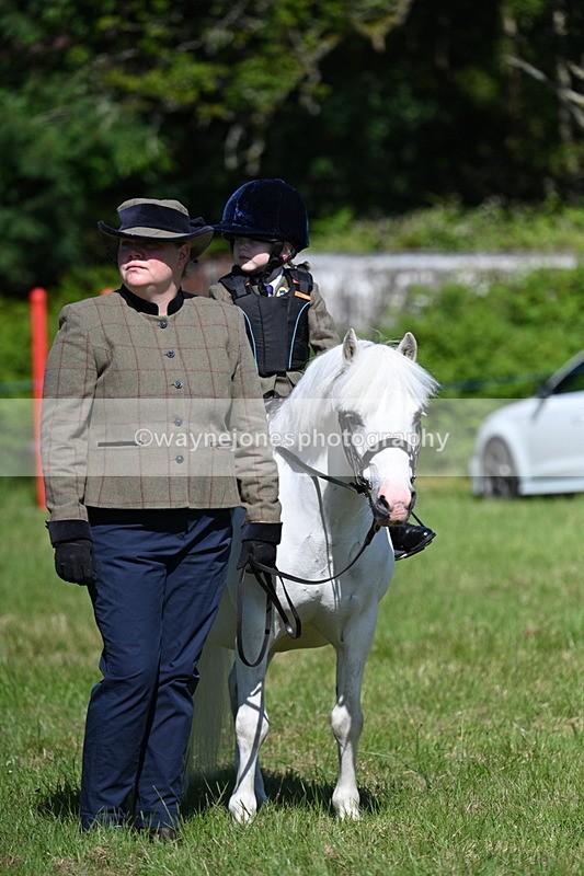 WJ7_0592 - Class 8 First Rally Pony