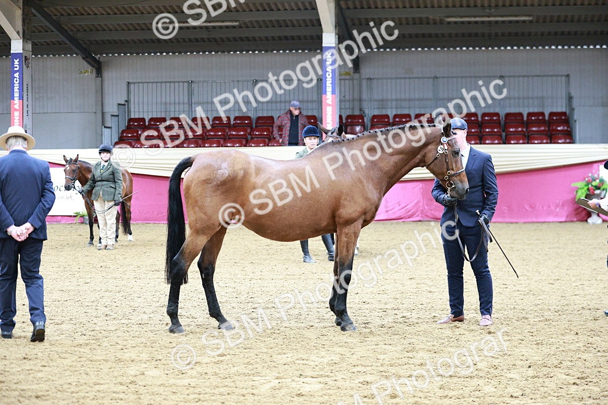 SBM_00247 - Class 1A - Area IH Diamond