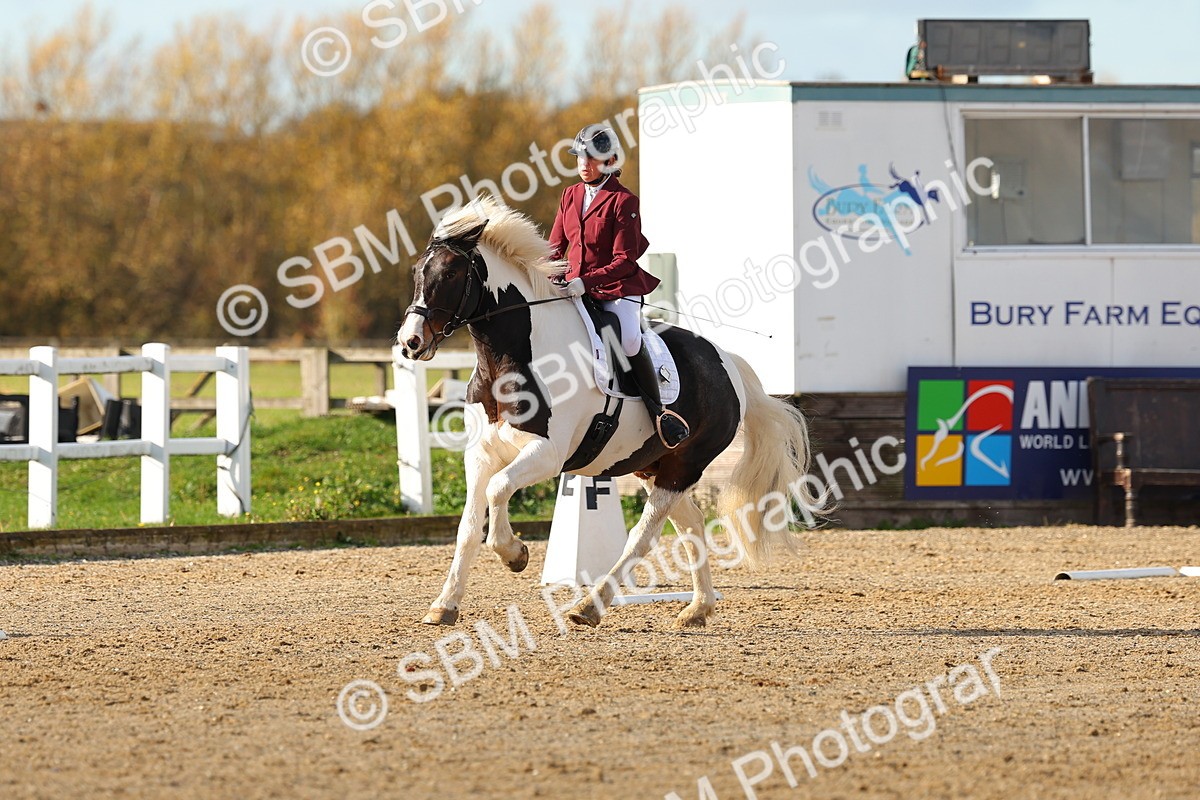 SBM_000830 - Novice 5