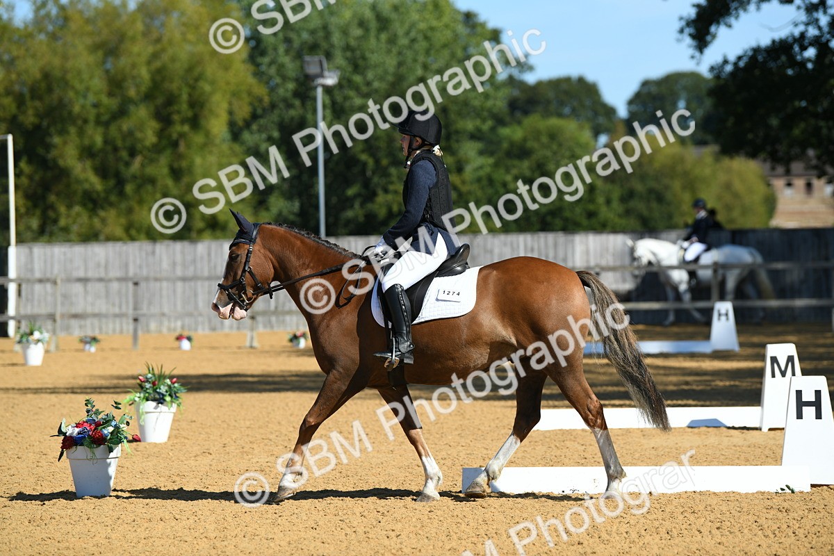 SBM_18147 - D4 - Small Tour Championship - Intro B