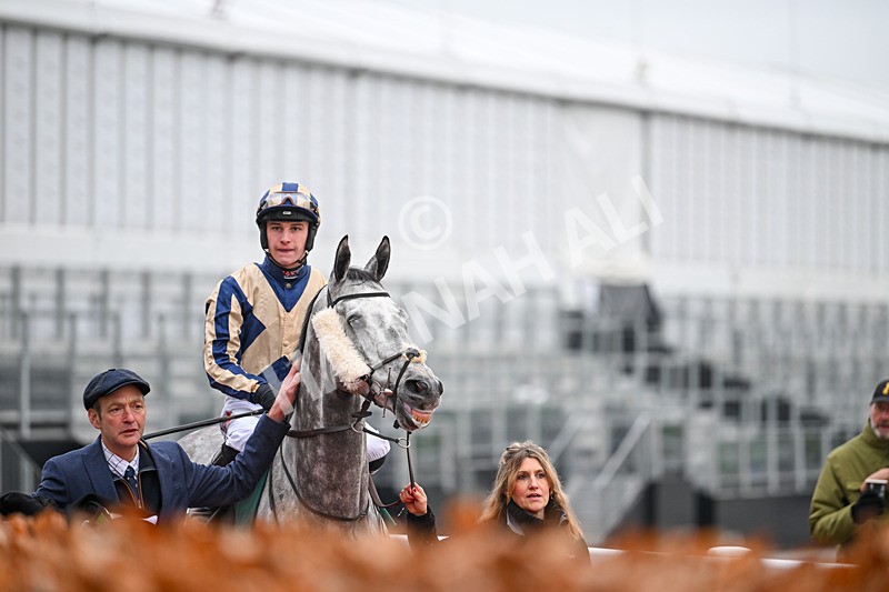 131224-Race 4-King Turgeon-8994 - Race 4