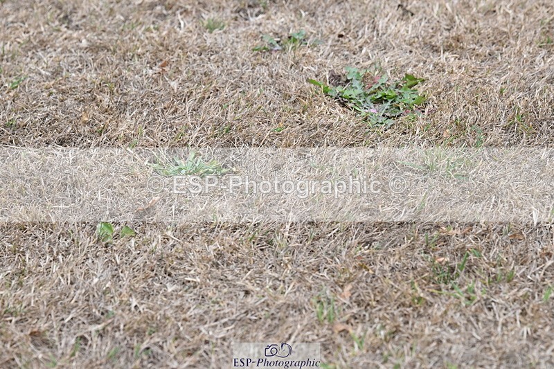 250820A-174547-12238 - Wednesday Presentations