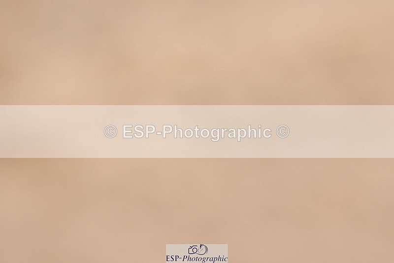 240706A-123140-01726 - Cls 2D Snr Prelim 18 12.14 to End
