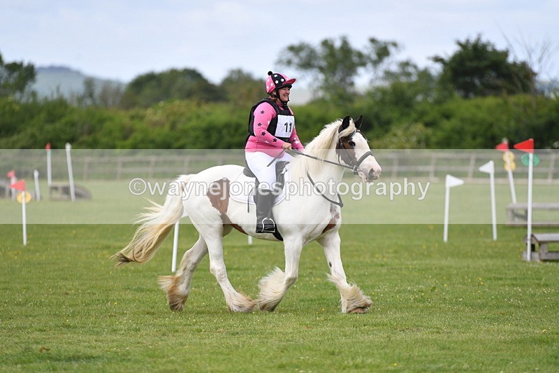 WJ5_2545 - Class 2 40cm