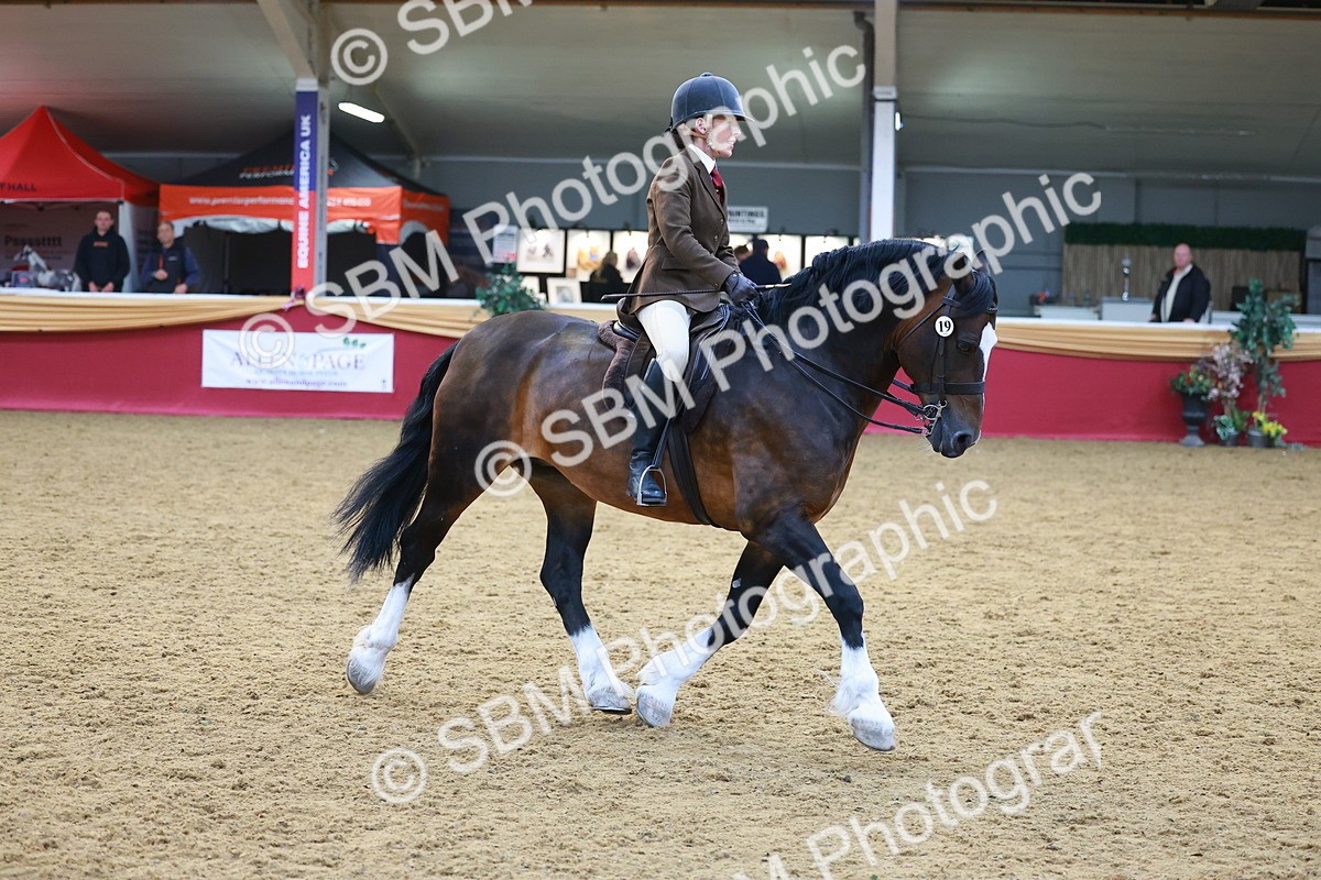SBM_06074 - Class 12R - Ridden Pre-Vet