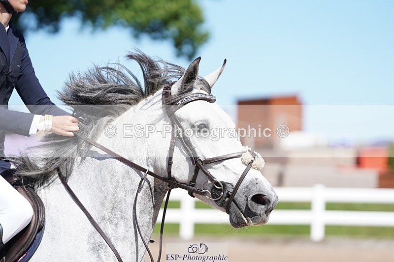 250627-161356-00047 - Cls 2 Pony Intro 80cm